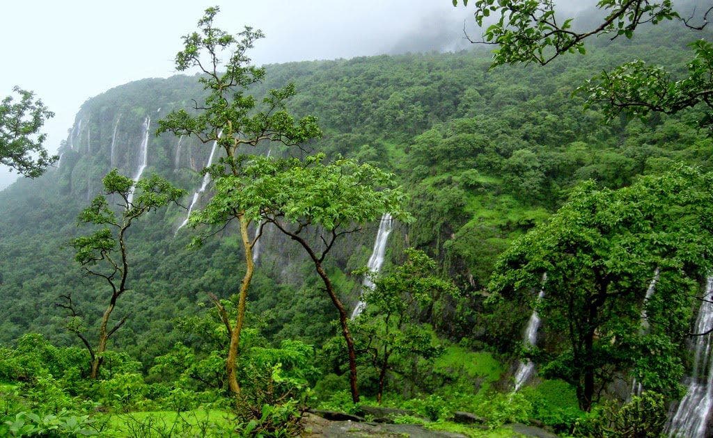 Bhimashankar Monsoon Trek in Bhimashankar, Maharashtra - photo 1