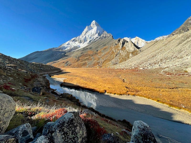 Gaumukh Tapovan Trek