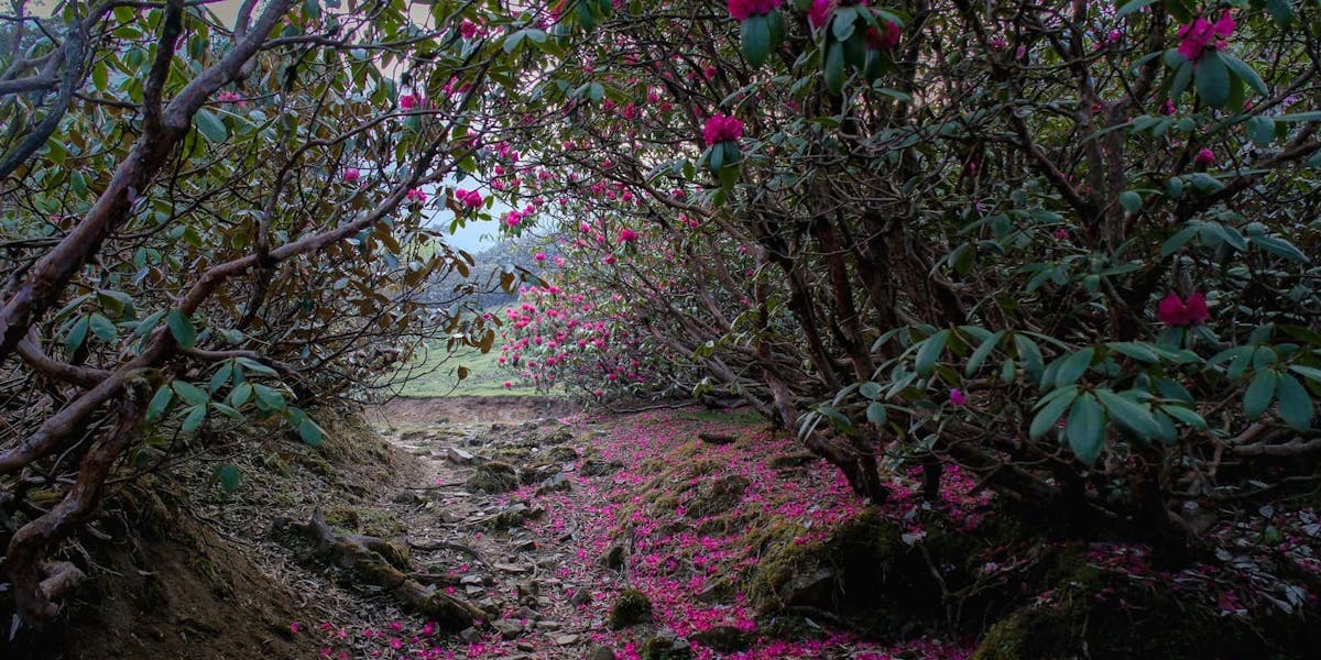 Ranthan Kharak Trek