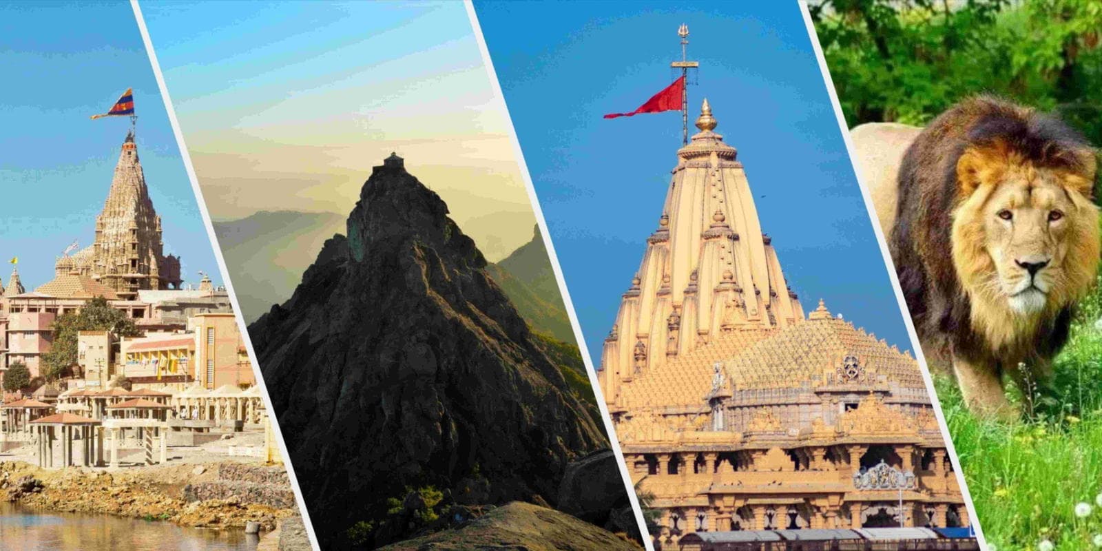 Saurashtra Tour | Dwarka, Somnath, Diu, Sasan Gir & Girnar in Saurashtra Tour | Dwarka, Somnath, Diu, Sasan Gir & Girnar - photo 1
