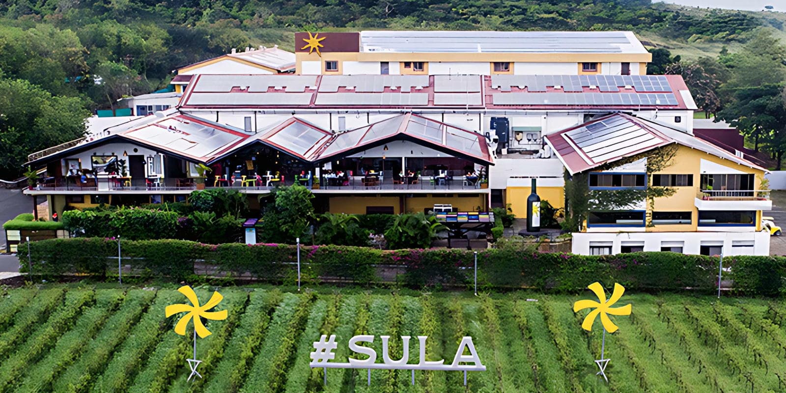 Sula Vineyards Tour in Dadar, Maharashtra - photo 1