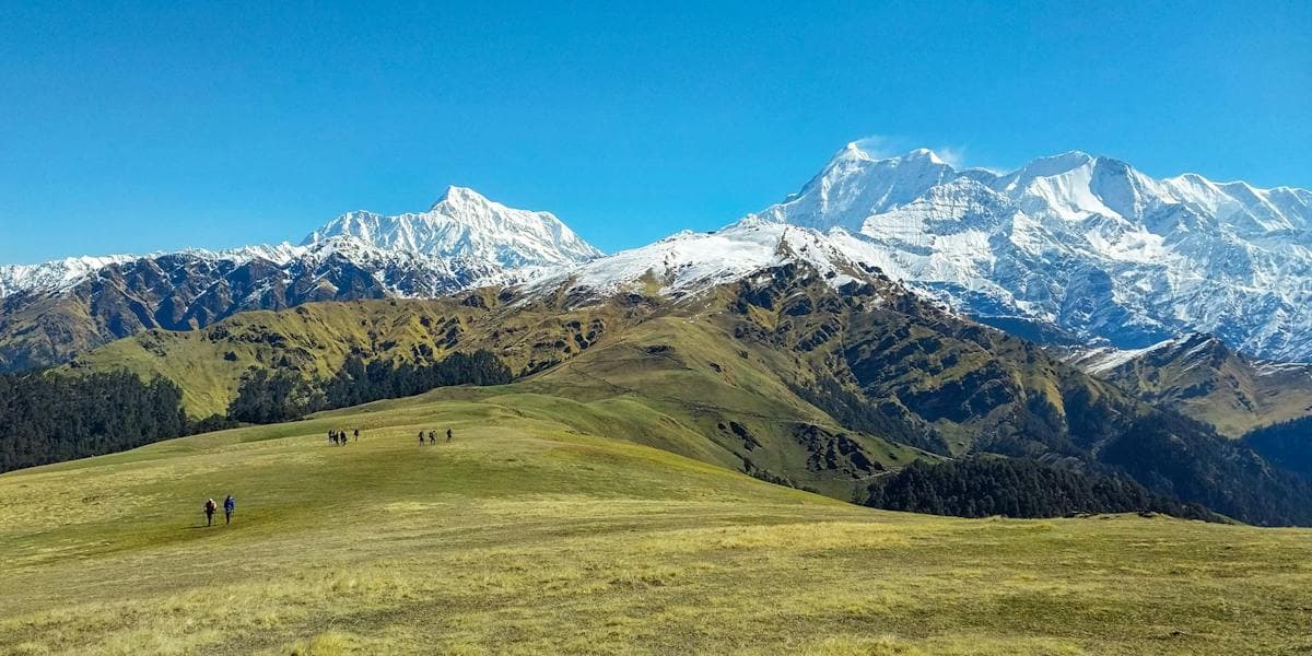 Ali Bedni Bugyal Trek
