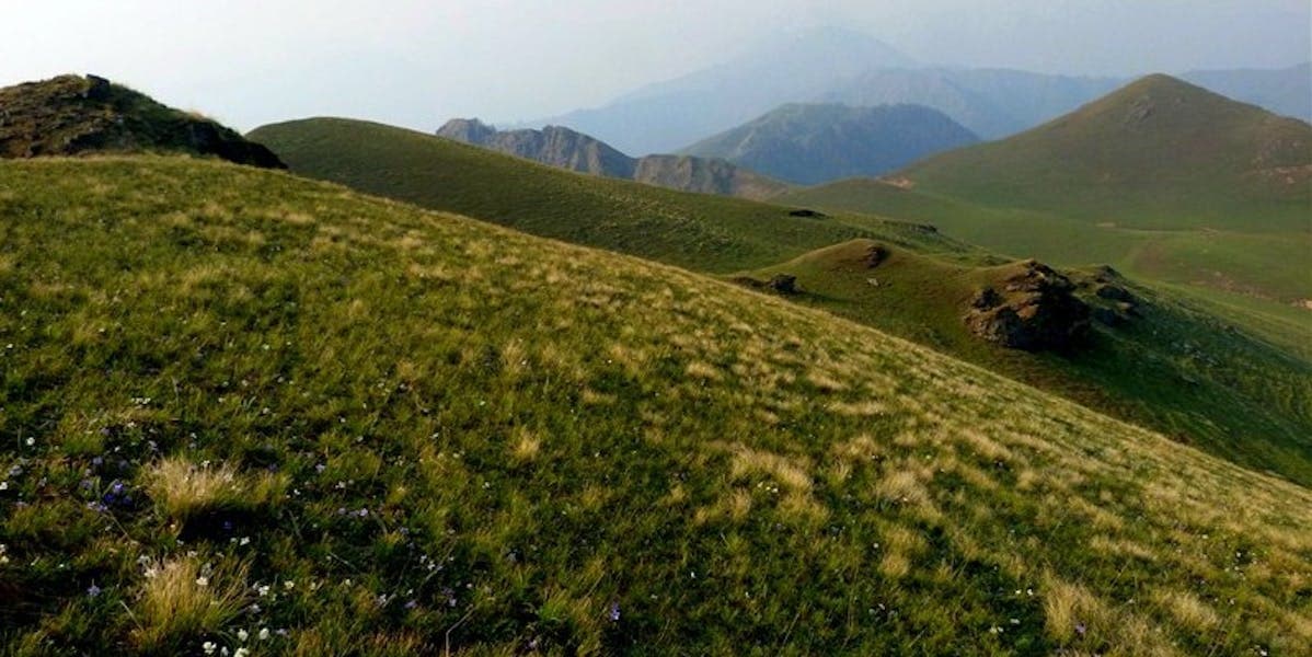 Dayara Bugyal Trek