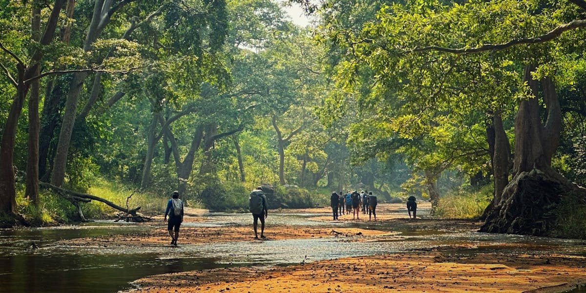 Pench Tiger Trail