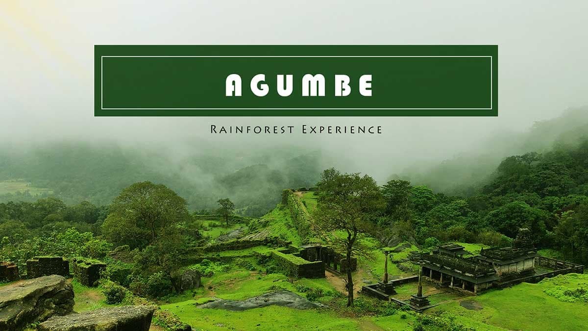 Agumbe Rainforest Trek (Monsoon Special) – From Bangalore in Karnataka