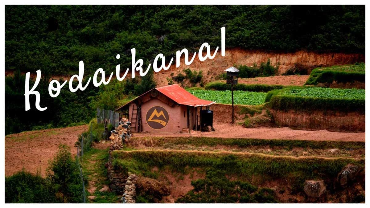 Kodaikanal and Vattakanal Tour Package From Bangalore in Tamil Nadu