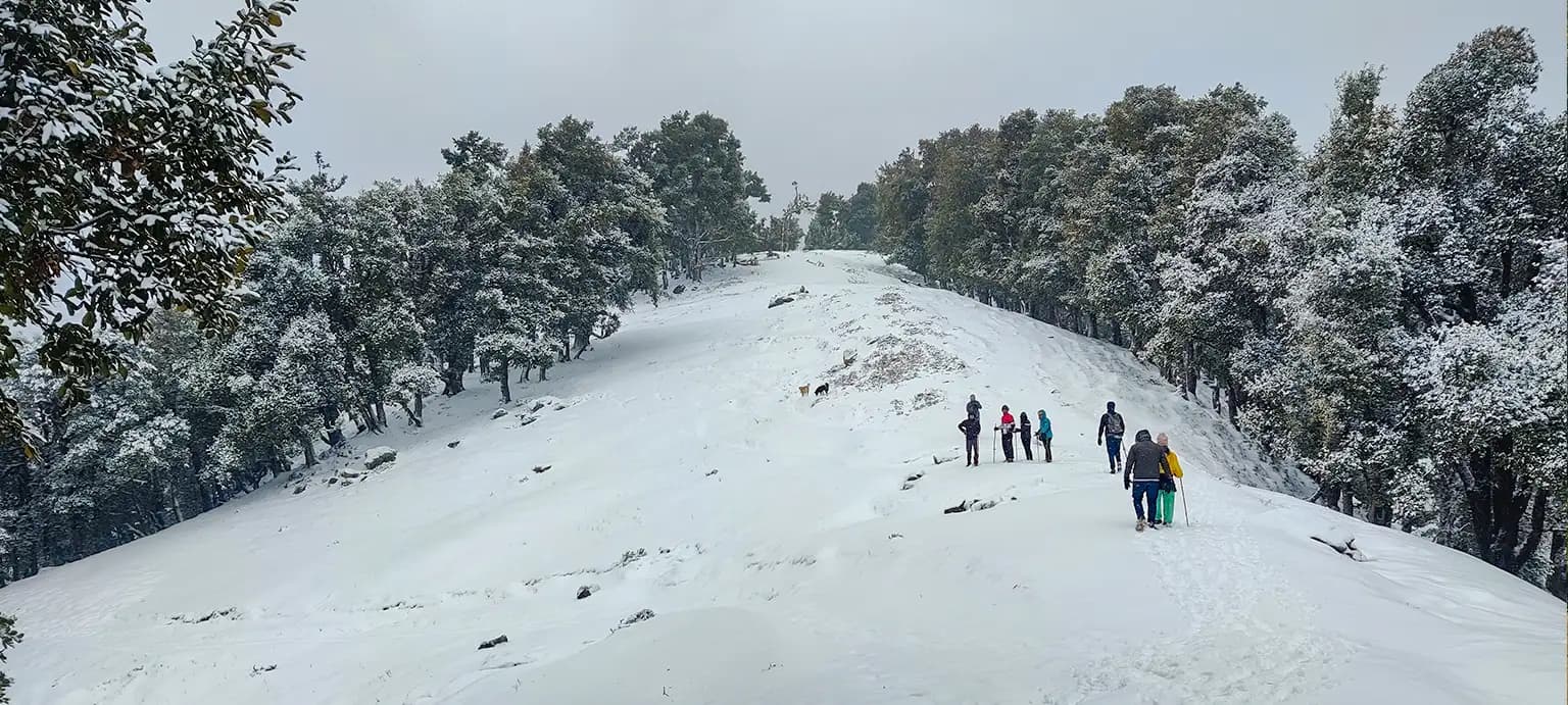 Nag Tibba Weekend Trek