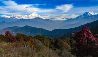 MOHARE DANDA TREK