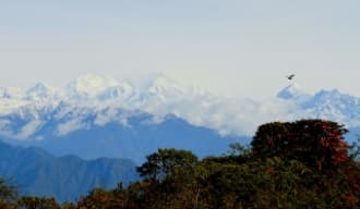 BARSEY SANCTUARY TREK