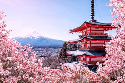 Japan By Sea - The Quiet Luxury